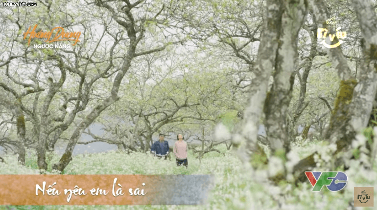 Cảnh đẹp giữa vườn cải Mộc Châu trong phim Hướng Dương ngược nắng