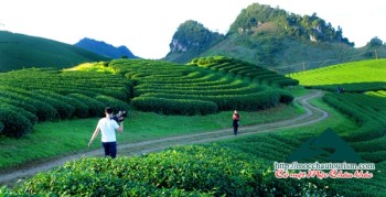 Moc Chau: special magnificent natural painting