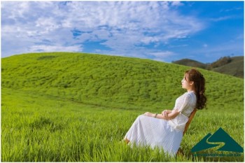 Góc chụp ảnh tuyệt đẹp tại đồng cỏ Windows Mộc Châu