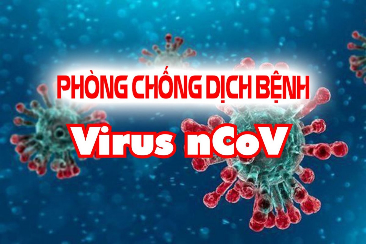 Virus nCoV